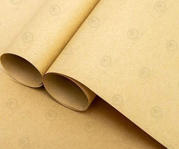 Nền Kinh Tế tuần hoàn do sản xuất giấy kraft mang lại