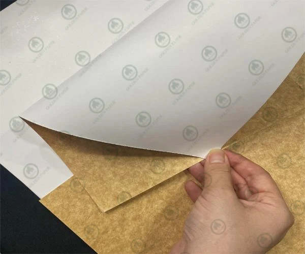 Làm thế nào để chọn bao bì carton phù hợp nhất?