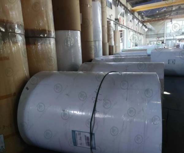 Sự khác biệt giữa giấy nhả và giấy tráng PE