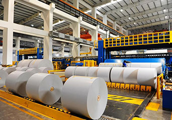 Báo cáo phân tích xuất khẩu giấy trong 5 năm tới