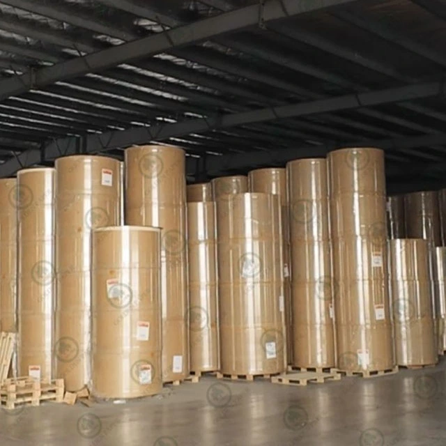 Ngành sản xuất giấy sẽ bước vào mùa cao điểm và giá của một số sản phẩm giấy có thể phân kỳ