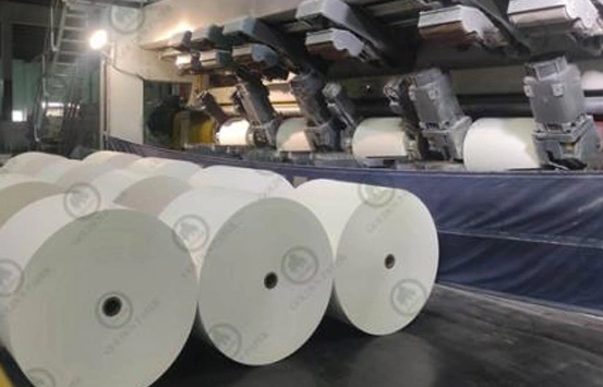 Sự khác biệt chính giữa giấy mg và giấy MF và các khu vực nên sử dụng chúng