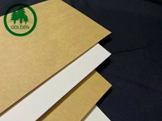 'Thay Thế nhựa bằng giấy' thúc đẩy nhu cầu mới và các công ty giấy đẩy nhanh việc bố trí năng lực sản xuất giấy đặc biệt