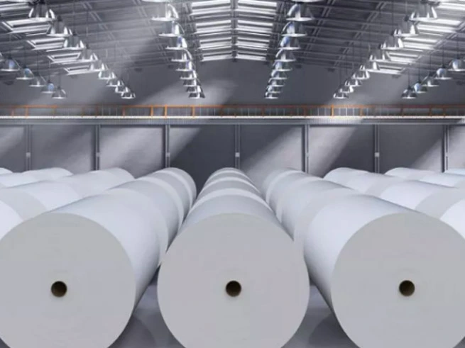 Ngành sản xuất giấy từ tháng 1 đến tháng 11 năm 2024