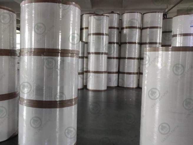 Dự báo phát triển ngành bao bì năm 2025