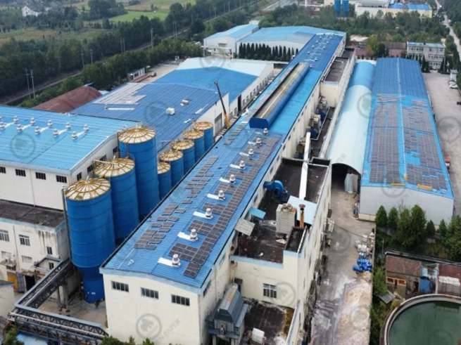 Các chiến lược và giải pháp phát triển khác biệt dựa trên quy mô doanh nghiệp, lợi nhuận và Nợ