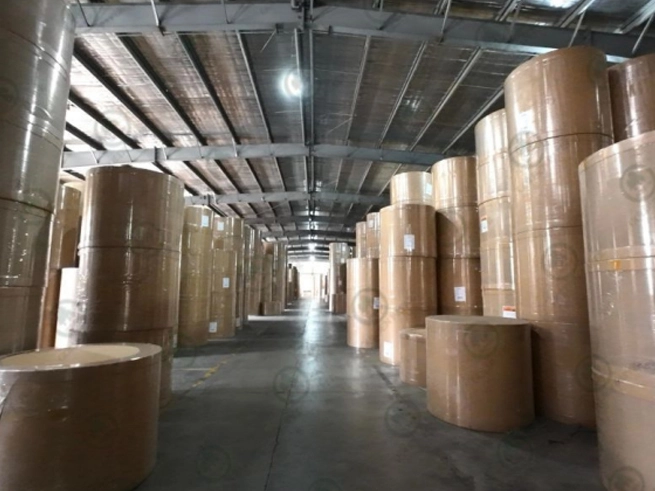 Năm 2024, sản lượng giấy và bìa của Trung Quốc vượt quá 150 triệu tấn, lập kỷ lục Lịch Sử!