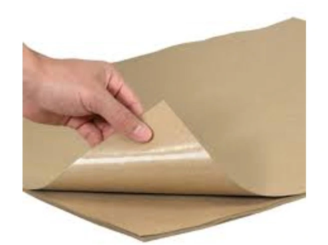 Thúc đẩy ứng dụng và tái chế giấy tráng đa lớp