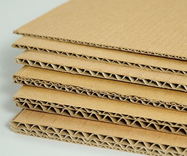 IMG_202506109757_600x500.jpg IMG_202506109757_600x500.jpg