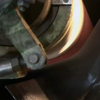 Sạch sẽ, an toàn và không dầu-với giấy chống thấm mỡ của Golden Paper!