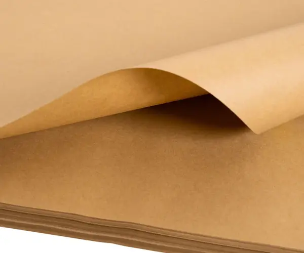 Bột giấy tẩy trắng và bột giấy không tẩy trắng: Bạn nên chọn loại nào?