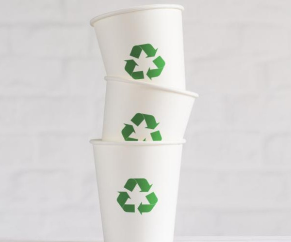 Hướng dẫn đầy đủ về các loại giấy được sử dụng trong bao bì thực phẩm