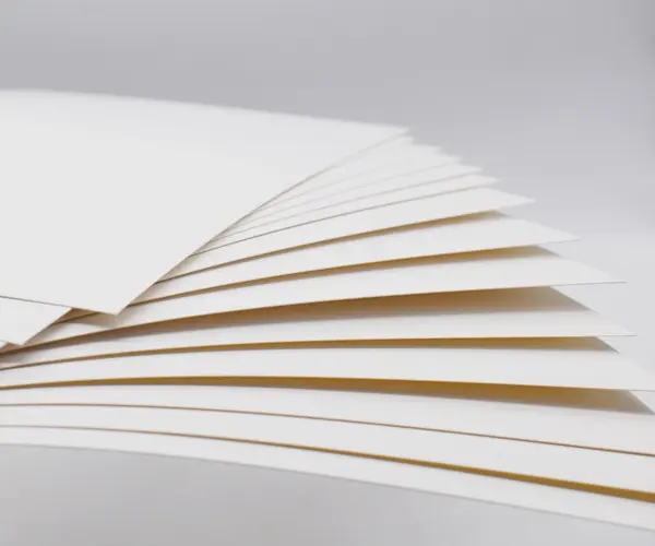 Sulfate tẩy trắng rắn (SBS) VS bảng Hộp gấp (fbb): sự khác biệt trong bìa bao bì là gì?