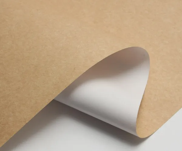 Tại sao ckb ngày càng trở nên phổ biến