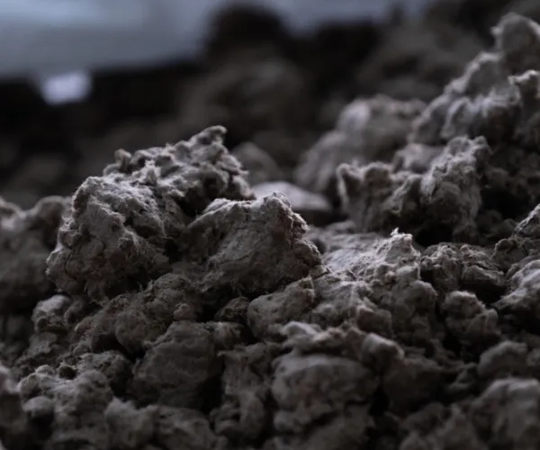 Kịch bản ứng dụng của bột giấy tái chế