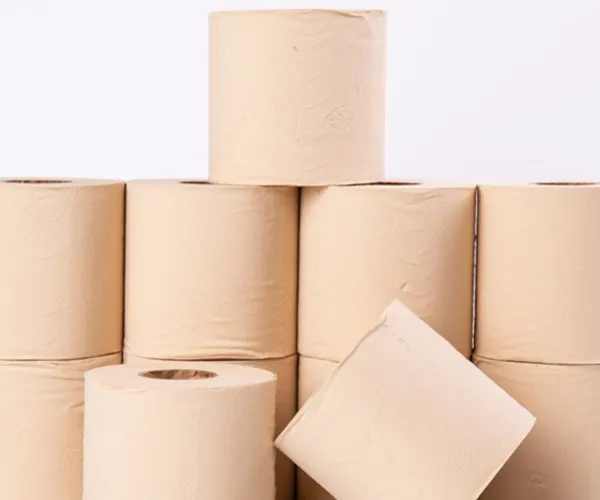 Hệ thống kiểm soát chất lượng và cung cấp bột giấy tre