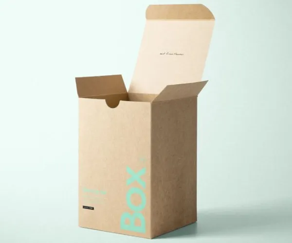 Giấy kraft so với bảng hai mặt: hiểu được sự khác biệt chính