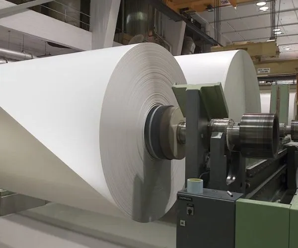 Triển Vọng 2026: Cơ hội và thách thức trong thị trường giấy toàn cầu định hình lại